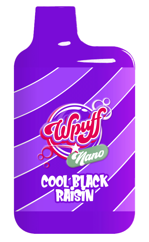 Wpuff Nano - Cool Black Raisin x10