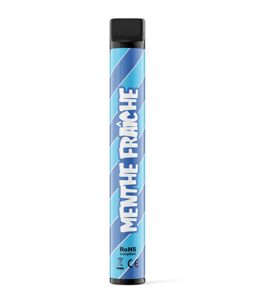Wpuff Original Pod 600 - 1 batterie + 1 pod Menthe Fraîche x10