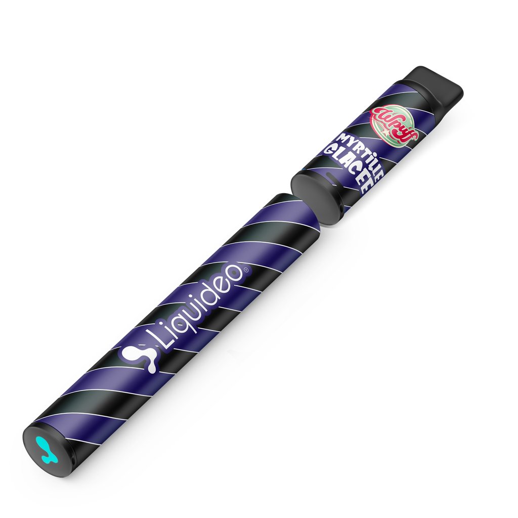 Wpuff Original Pod 600 - 1 batterie + 1 pod Myrtille Glacée x10