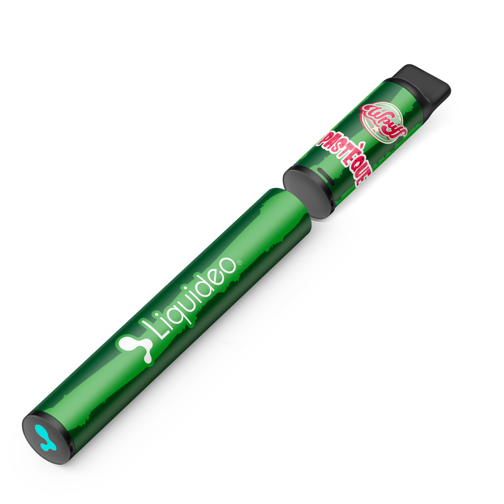 Wpuff Original Pod 600 - 1 batterie + 1 pod Pastèque x10